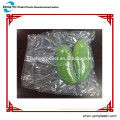 Food Vaccum Plastic Bag